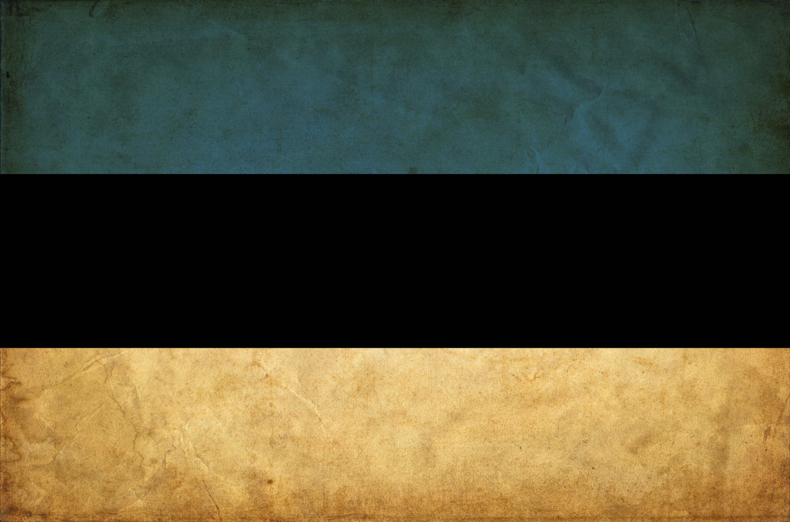 Lost in Conflation: The Estonian City of Narva and Its Russian-Speakers